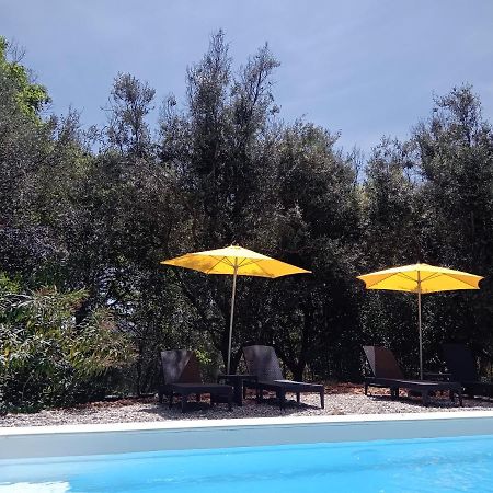 2 Pieces "Le Brin De Soleil" Gites Appart 'Hotel L'Echappee Belle D'Aubenas Logement 1 Sur 3 Ngoại thất bức ảnh