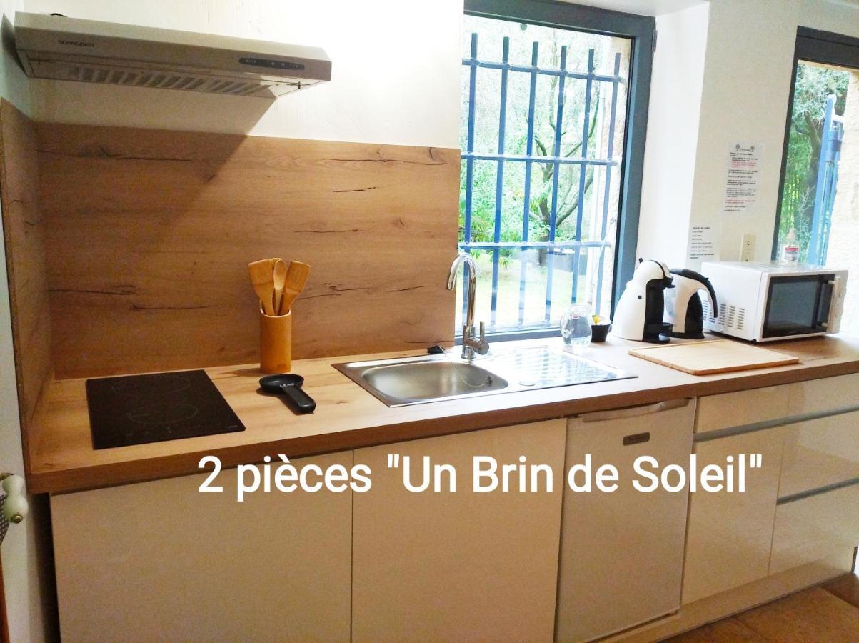 2 Pieces "Le Brin De Soleil" Gites Appart 'Hotel L'Echappee Belle D'Aubenas Logement 1 Sur 3 Ngoại thất bức ảnh