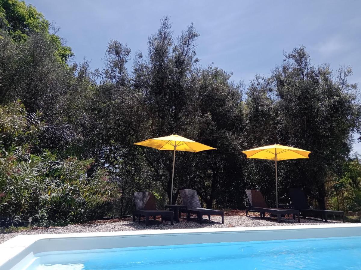 2 Pieces "Le Brin De Soleil" Gites Appart 'Hotel L'Echappee Belle D'Aubenas Logement 1 Sur 3 Ngoại thất bức ảnh